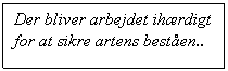 Tekstboks: Der bliver arbejdet ihrdigt for at sikre artens besten..